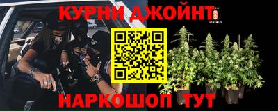 ГАЛЛЮЦИНОГЕННЫЕ ГРИБЫ Краснознаменск