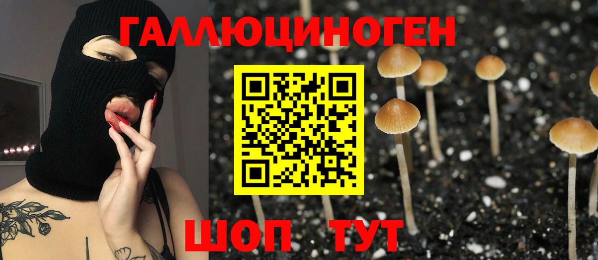 Псилоцибиновые грибы ЛСД  Псилоцибиновые грибы Cubensis  где купить   Вход с VPN  Железноводск 